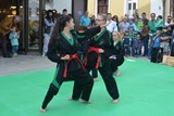 Fruehlingsfest_SMUE_2017_24.jpg