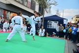 Fruehlingsfest_Schwabmuenchen_2019_019.jpg