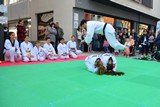 Fruehlingsfest_Schwabmuenchen_2019_021.jpg