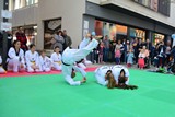 Fruehlingsfest_Schwabmuenchen_2019_025.jpg