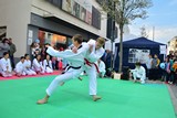 Fruehlingsfest_Schwabmuenchen_2019_030.jpg