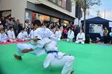 Fruehlingsfest_Schwabmuenchen_2019_033.jpg