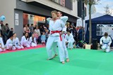 Fruehlingsfest_Schwabmuenchen_2019_035.jpg