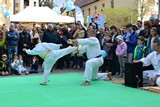 Fruehlingsfest_Schwabmuenchen_2019_037.jpg