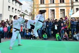 Fruehlingsfest_Schwabmuenchen_2019_041.jpg