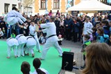 Fruehlingsfest_Schwabmuenchen_2019_045.jpg
