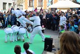Fruehlingsfest_Schwabmuenchen_2019_046.jpg