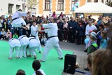 Fruehlingsfest_Schwabmuenchen_2019_047.jpg